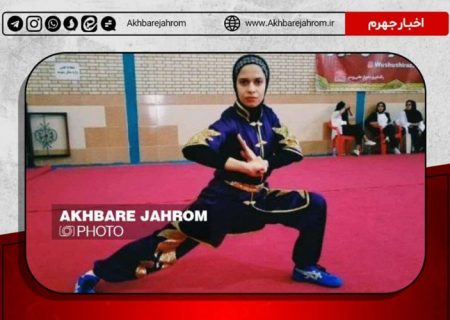 دانشجوی جهرمی بر سکوی دوم مسابقات قهرمانی ووشو دانشجويان كشور