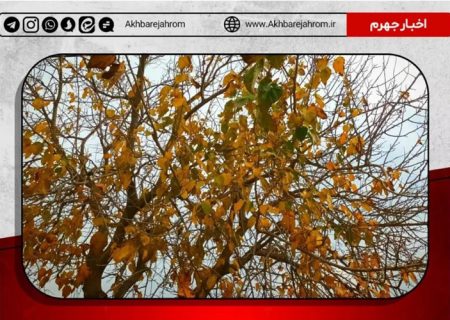اعلام هشدار وضعیت نارنجی هواشناسی برای بارش شدید باران در استان فارس
