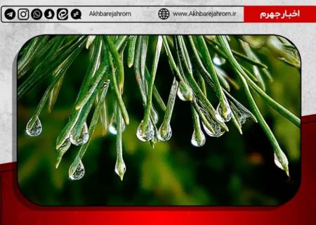 میزان بارندگی در جهرم تا ساعت ۹:۳۰ مورخ سه‌شنبه ۲۸ دی‌ماه ۱۴۰۰