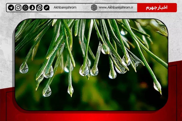 میزان بارندگی در جهرم تا ساعت ۹:۳۰ مورخ سه‌شنبه ۲۸ دی‌ماه ۱۴۰۰