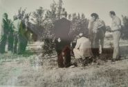 لیموشیرین زردم/ ای خدا دوای دردم»؛ نگاهی به تاریخچه‌ی کاشت مرکبات در جهرم