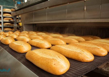 با رفع مشکلات حقوقی و راه‌اندازی کارخانه تولید نان صنعتی جهرم، یکصد شغل ایجاد خواهد شد