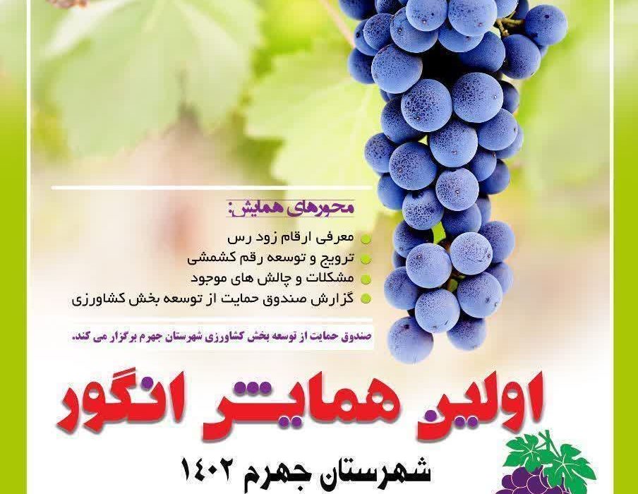 اولین همایش انگور در جهرم برگزار می‌شود