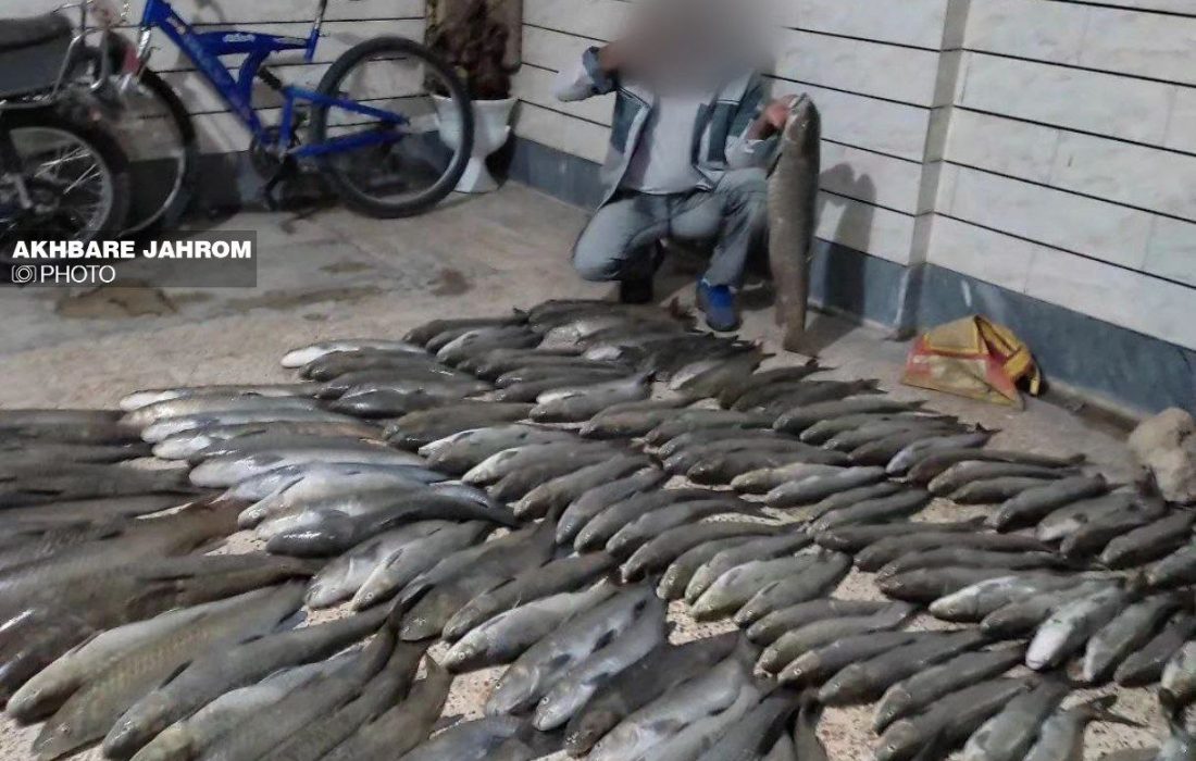 ‼️انتشار تصویر صید غیرمجاز ماهیان سد سلمان در فصل تخم‌ریزی ماهیان در فضای مجازی