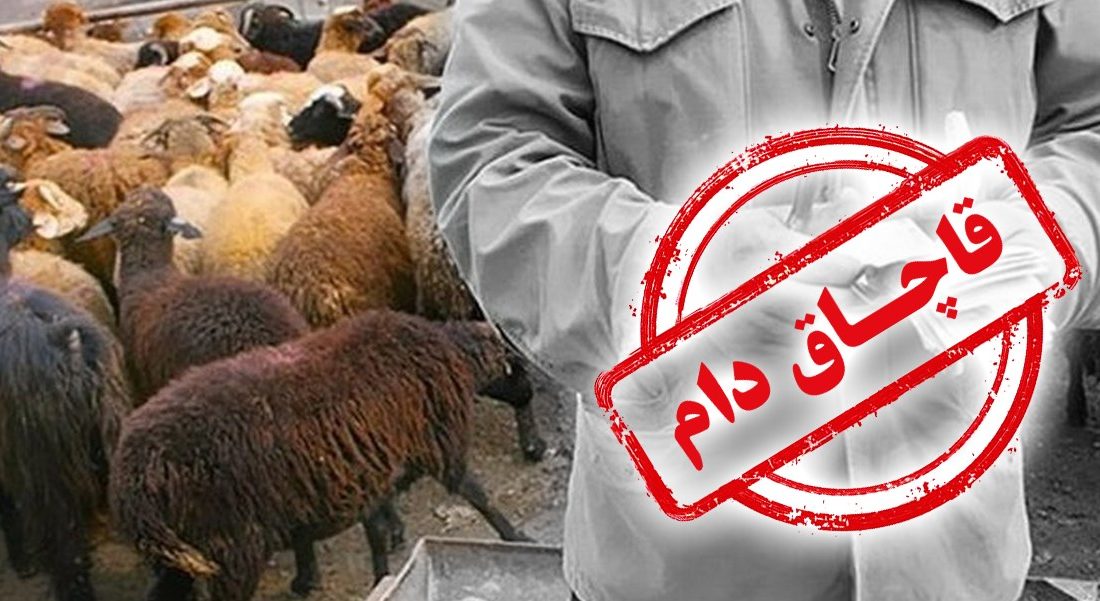 یک دستگاه کامیون با ۱۰۴ راس گوسفند قاچاق در جهرم توقيف شد