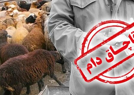 یک دستگاه کامیون با ۱۰۴ راس گوسفند قاچاق در جهرم توقيف شد