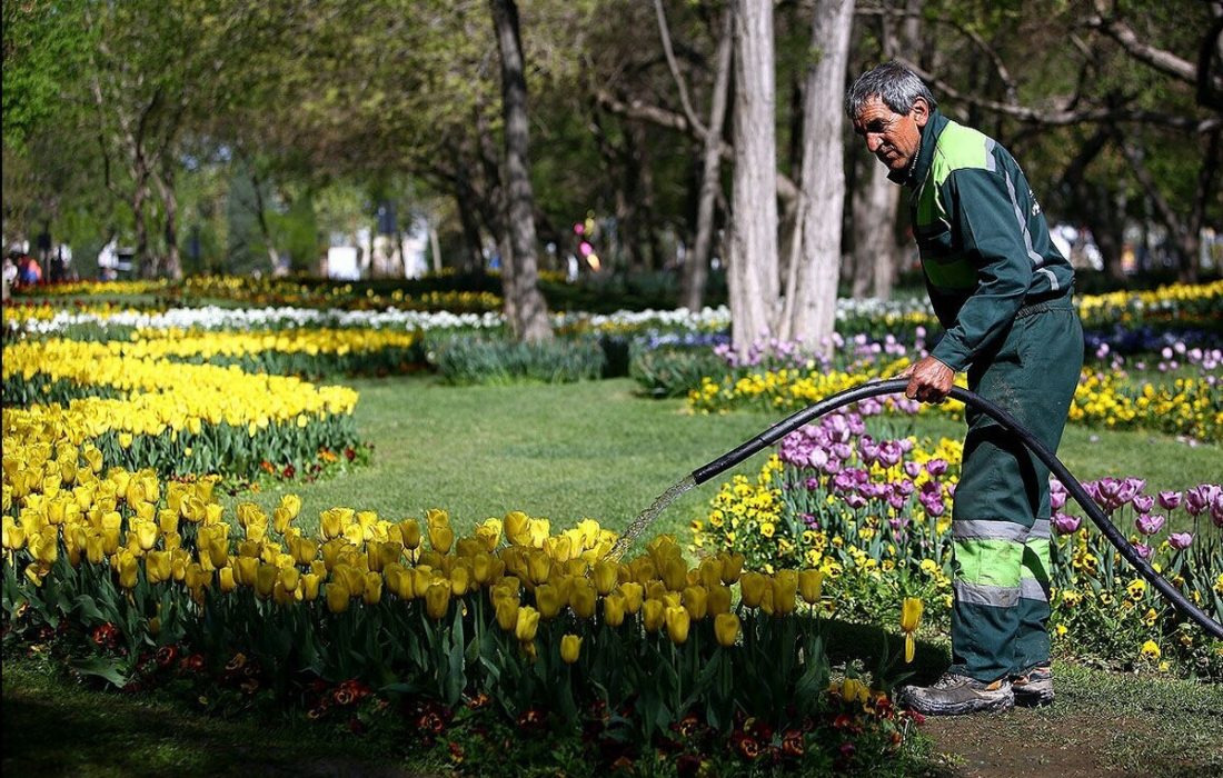 شهرداری برای آبیاری فضای سبز از آب غیر شرب استفاده کند/ قطعی برق باعث اختلال در روند آبرسانی و قطع آب شُرب می‌شود