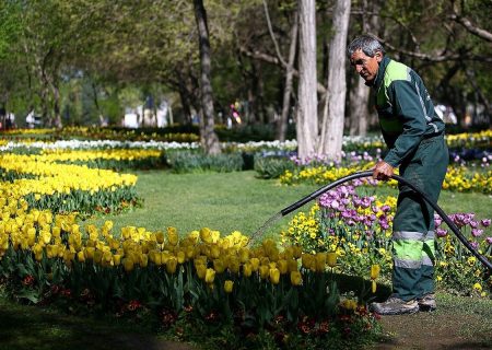 شهرداری برای آبیاری فضای سبز از آب غیر شرب استفاده کند/ قطعی برق باعث اختلال در روند آبرسانی و قطع آب شُرب می‌شود