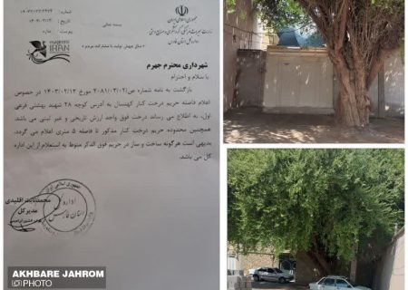 ‼️مجوز شهرداری برای قتل یک کُنار دیگر در جهرم!