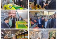 بازدید فرماندار ویژه جهرم از انبارهای کالاهای اساسی