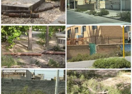 ‼️شهروندان مراقب باشند؛ باد با اره برقی در سطح شهر سرگردان است!