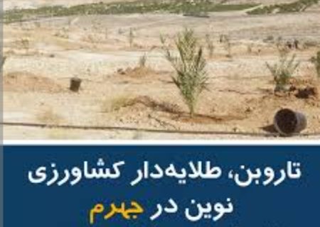 «تاروبن»؛ طلایه‌دار کشاورزی مدرن در جهرم با پیشرفت ۶۵ درصدی