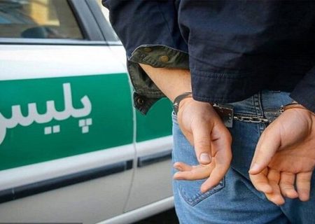 از کشف ۲۸ کیلوگرم حشیش تا دستگیری خرده فروش حرفه ای مواد مخدر در جهرم