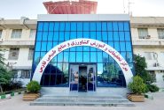 کسب مقام اول واحد آموزش مرکز تحقیقات و آموزش کشاورزی و منابع طبیعی در فارس