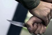 قاتل نزاع پارک جنگلی جهرم دستگیر شد