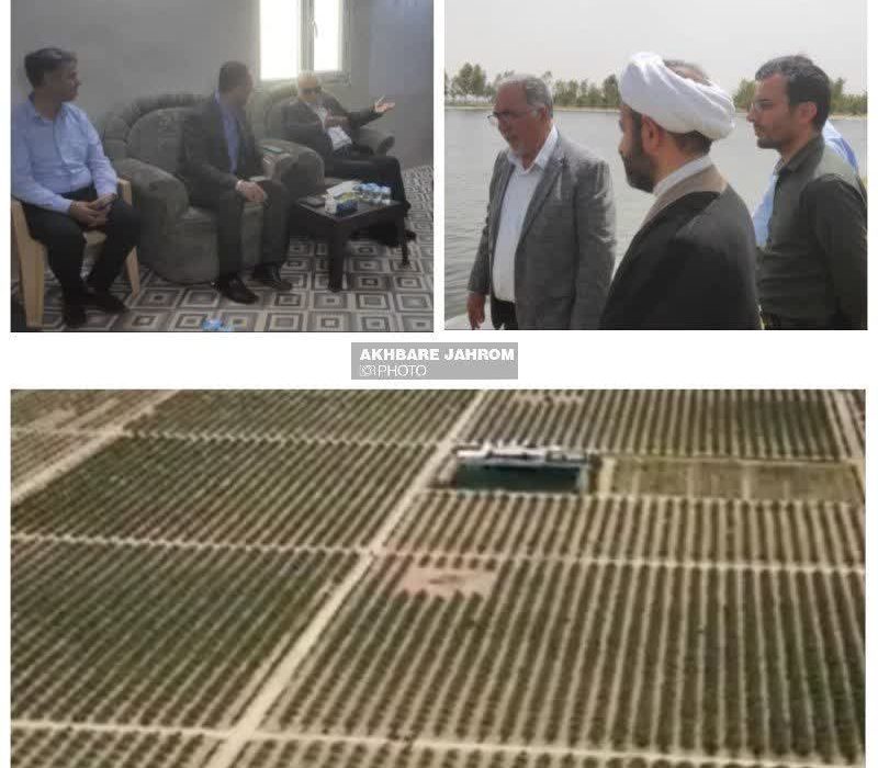 همکاری علمی و فناورانه دانشگاه جهرم و مزرعه فدک تحت تولیت آستان مقدس حسینی علیه السلام