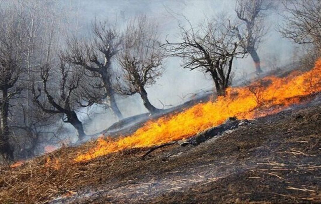 پایان عملیات در کوه گرم جهرم؛ آتش‌سوزی پس از ۴۰ ساعت تلاش بی‌وقفه مهار شد