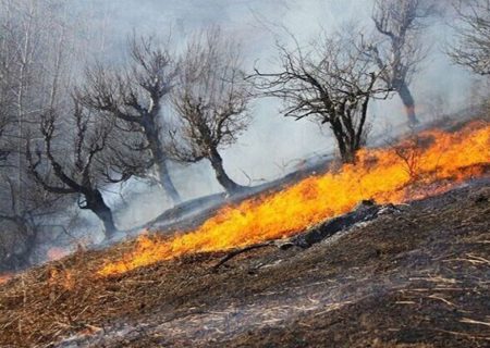 پایان عملیات در کوه گرم جهرم؛ آتش‌سوزی پس از ۴۰ ساعت تلاش بی‌وقفه مهار شد