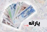 افراد بالای ۱۸ سال می‌توانند یارانه‌شان را از خانوار جدا کنند