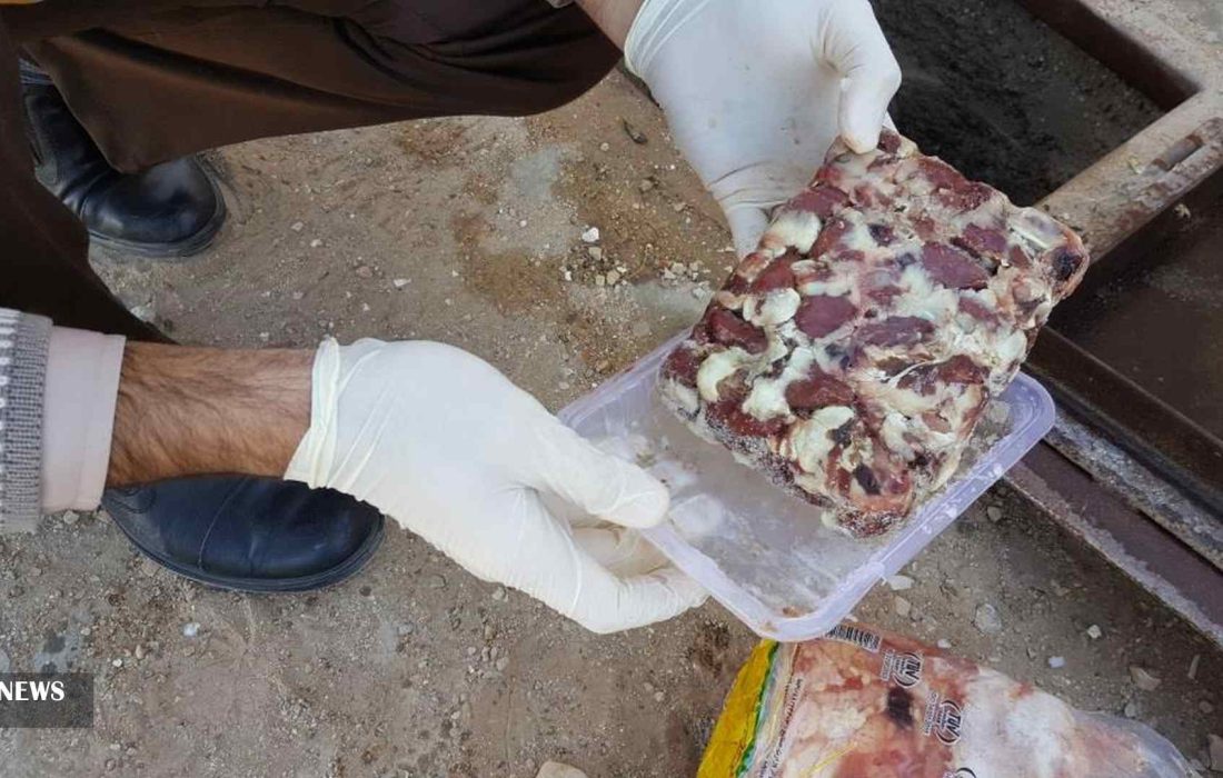 کشف و معدوم‌سازی ۱۳۵ کیلوگرم فرآورده خام دامی غیرقابل مصرف انسانی در جهرم