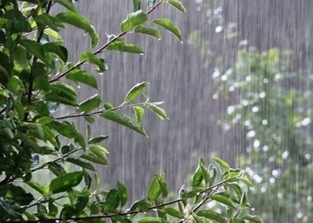 بارش ۱۳ میلیمتری باران در جهرم