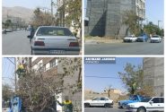 در این روزهای گرم؛ سازمان فضای سبز شهرداری مشغول به حذف سایه‌هاست!!