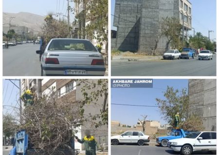 در این روزهای گرم؛ سازمان فضای سبز شهرداری مشغول به حذف سایه‌هاست!!