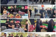 گزارش تصویری: برگزاری مراسم پیاده روی حرم تا حرم در جهرم