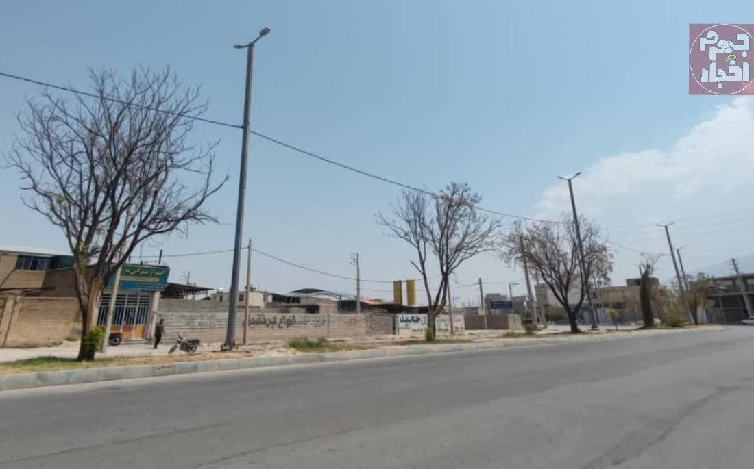‼️مدیر پنجاه تومانی؛ مدرک دانشگاهی برای درخت آب نمی‌شود