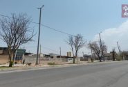 ‼️مدیر پنجاه تومانی؛ مدرک دانشگاهی برای درخت آب نمی‌شود
