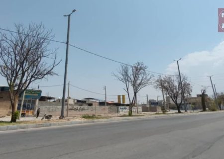 ‼️مدیر پنجاه تومانی؛ مدرک دانشگاهی برای درخت آب نمی‌شود