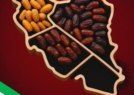 به مناسبت روز ملی خرما: «جنگل نخل» کشور در حال نابودی است