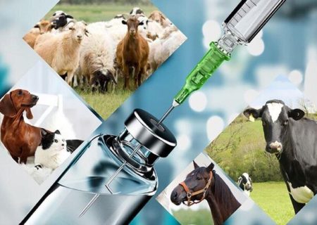 اطلاعیه روابط عمومی اداره دامپزشکی شهرستان جهرم درخصوص تزریق واکسن‌های زیرپوستی دامی