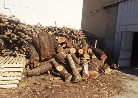 کشف محموله چوب قاچاق و برخورد با کوره‌ زغالی غیرمجاز در بخش سیمکان جهرم