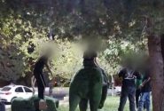 زنگ خطر برای اموال عمومی! / تخریب المان‌ها هدر دادن سرمایه‌های شهر و شهروندان است