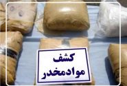 کشف ۴۲ کیلوگرم انواع مواد مخدر در جهرم