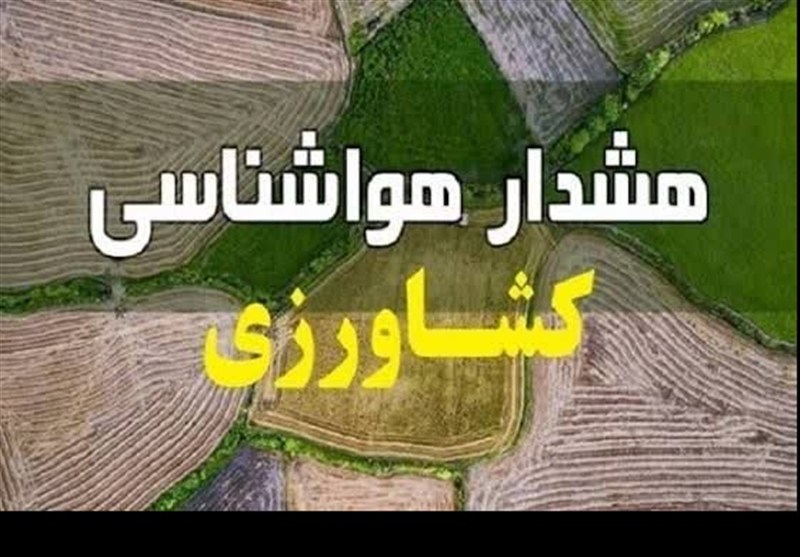 صدور هشدار زرد کشاورزی در فارس