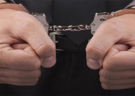 کشف محموله احشام قاچاق و دستگیری سارق اماکن خصوصی در جهرم