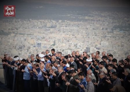 باران از شاخه‌های سبز می‌بارد؛ قطع درختان یعنی خشکی دعا