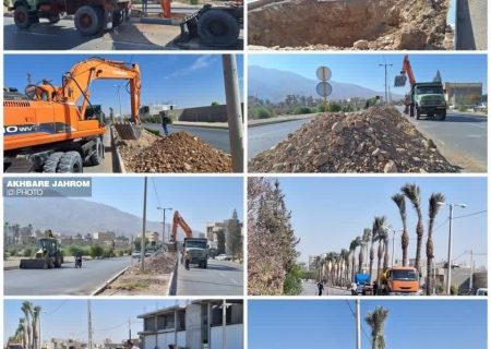 ‼️ نخل‌هایی که شهرداری کاشت، ولی نتیجه‌اش شکایت بود نه زیباسازی!