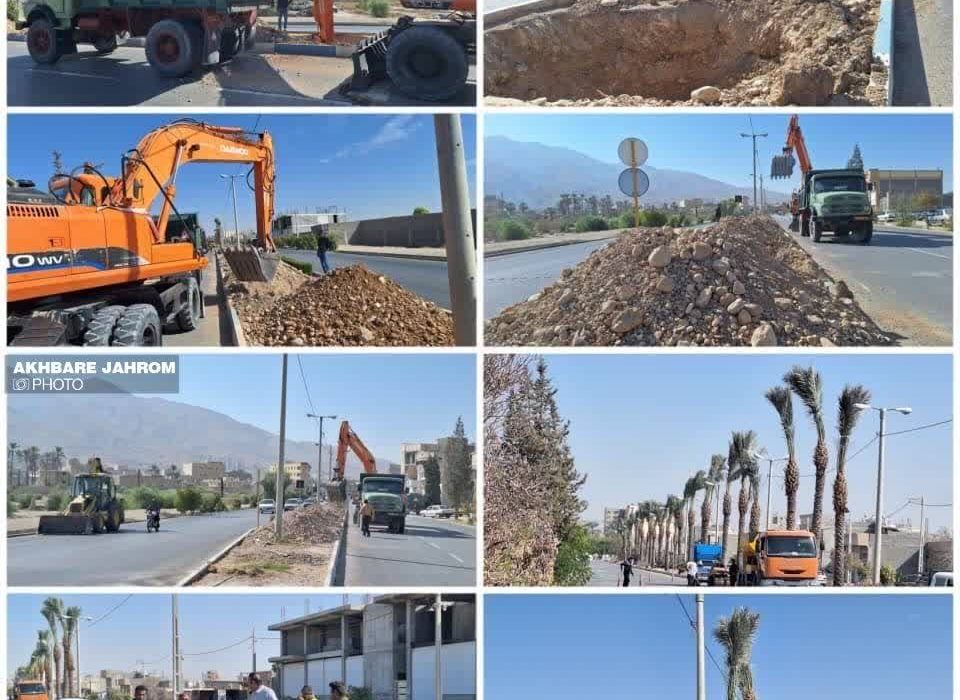 ‼️ نخل‌هایی که شهرداری کاشت، ولی نتیجه‌اش شکایت بود نه زیباسازی!