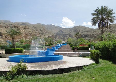 اره‌برقی همچنان ابزار ثابتِ مدیریت فضای سبز در جهرم است!